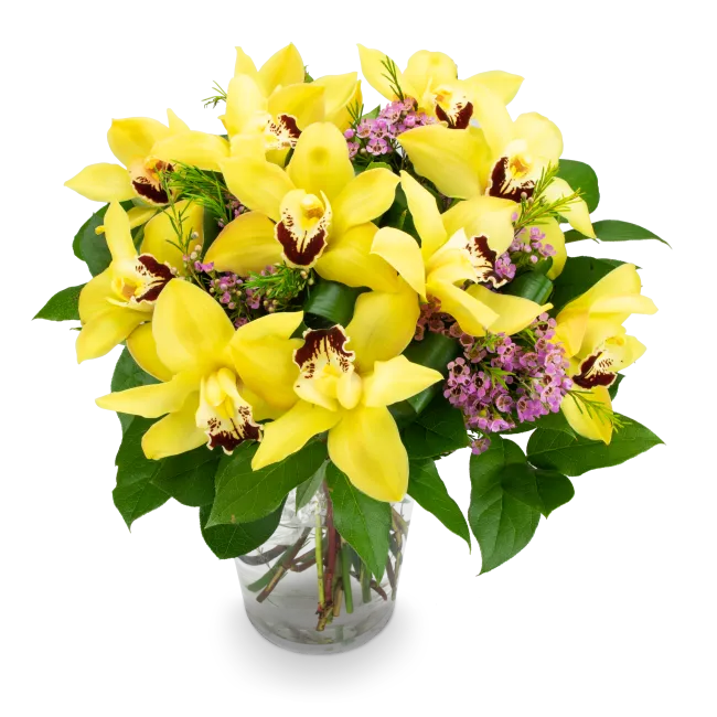 Kytice žlutých orchidejí